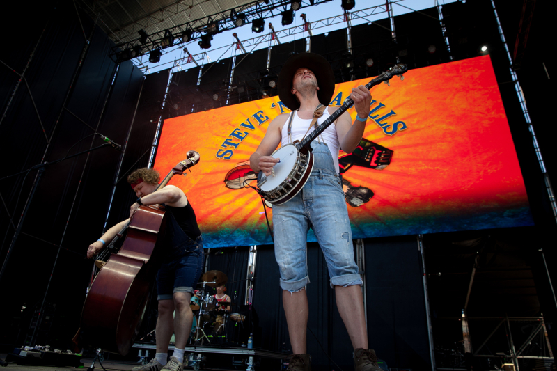 Steve`n`Seagulls